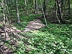 mh-weg2.JPG