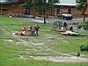 IMG_1429.JPG