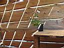 IMG_5357.JPG