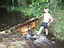IMG_5384.JPG