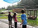 IMG_5412.JPG