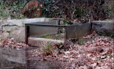 Bild "Home:Moench.JPG"